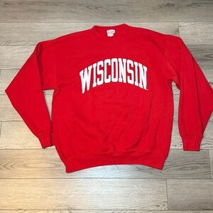 Vintage Santee Sweats Heavyweight Wisconsin 90s Sweatshirt Men's Large